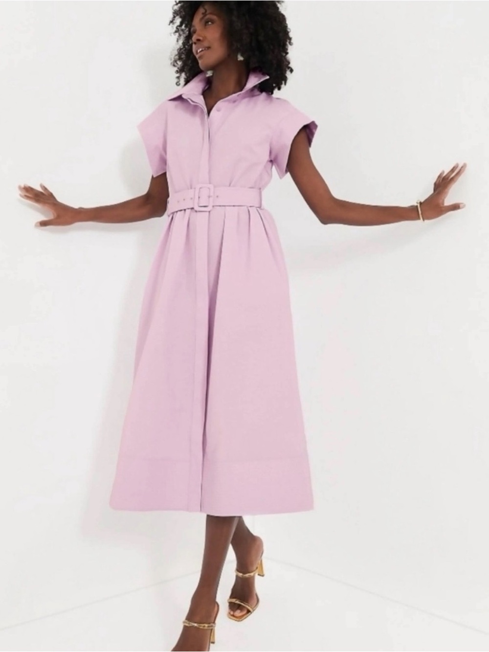 Tuckernuck Chloe Dress - Sleeveless Structured Belted Midi Dress in Lilac